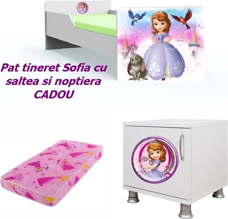 Pat tineret Sofia cu saltea si noptiera CADOU
