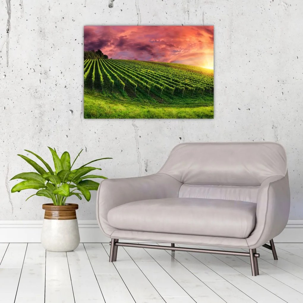 Tablou cu vie cu cerul color (70x50 cm)