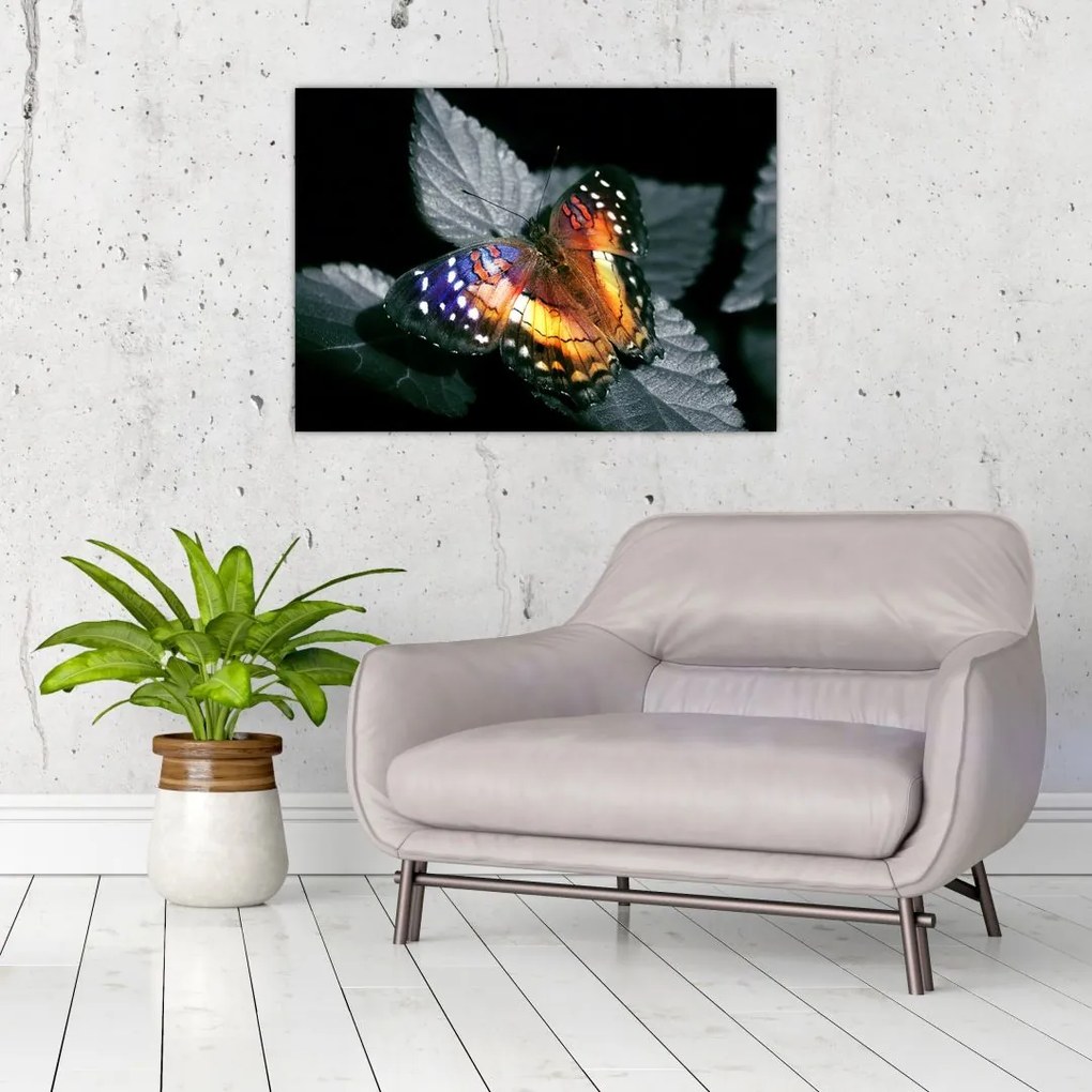 Tablou pe sticlă cu fluture (70x50 cm)
