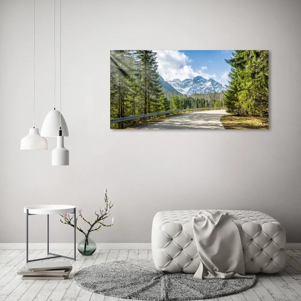 Tablou pe acril Road tatry