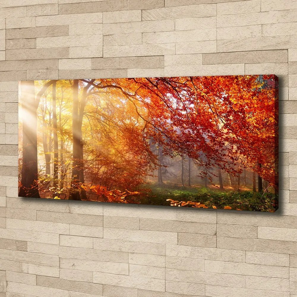 Imprimare tablou canvas Pădure de toamnă