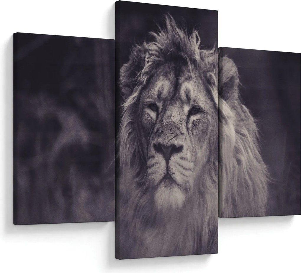 Tablou cu leu (90x60 cm)