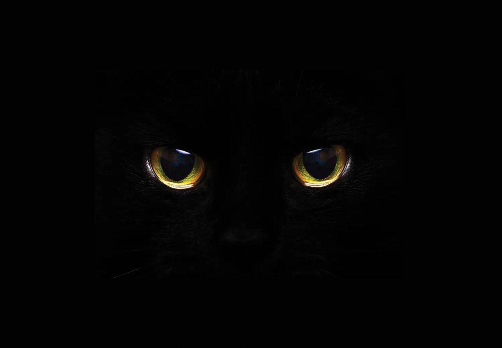 Fototapet - Ochi de pisică (147x102 cm)