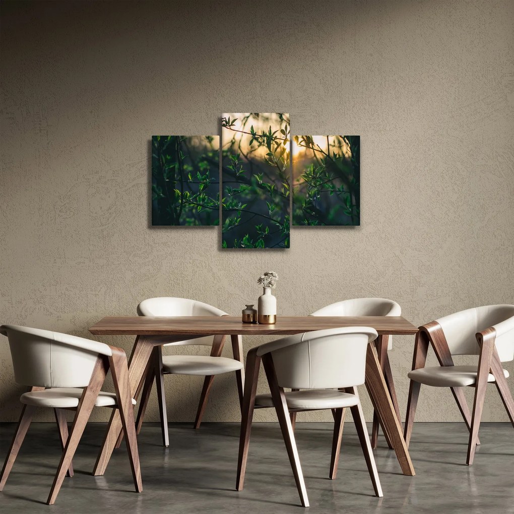 Tablou - Soarele strălucind printre crengile copacilor (90x60 cm)