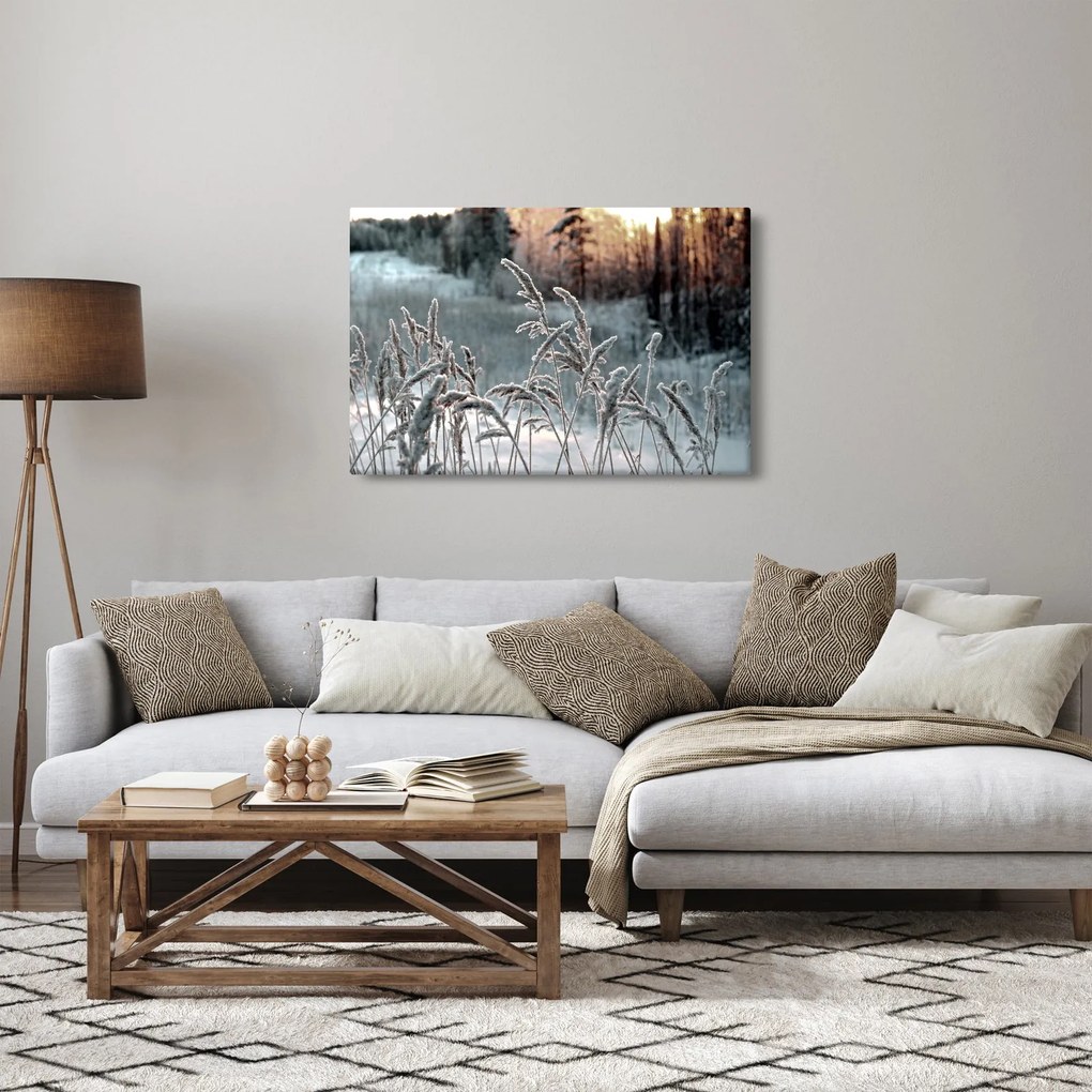 Tablou - Pajiște înghețată (90x60 cm)
