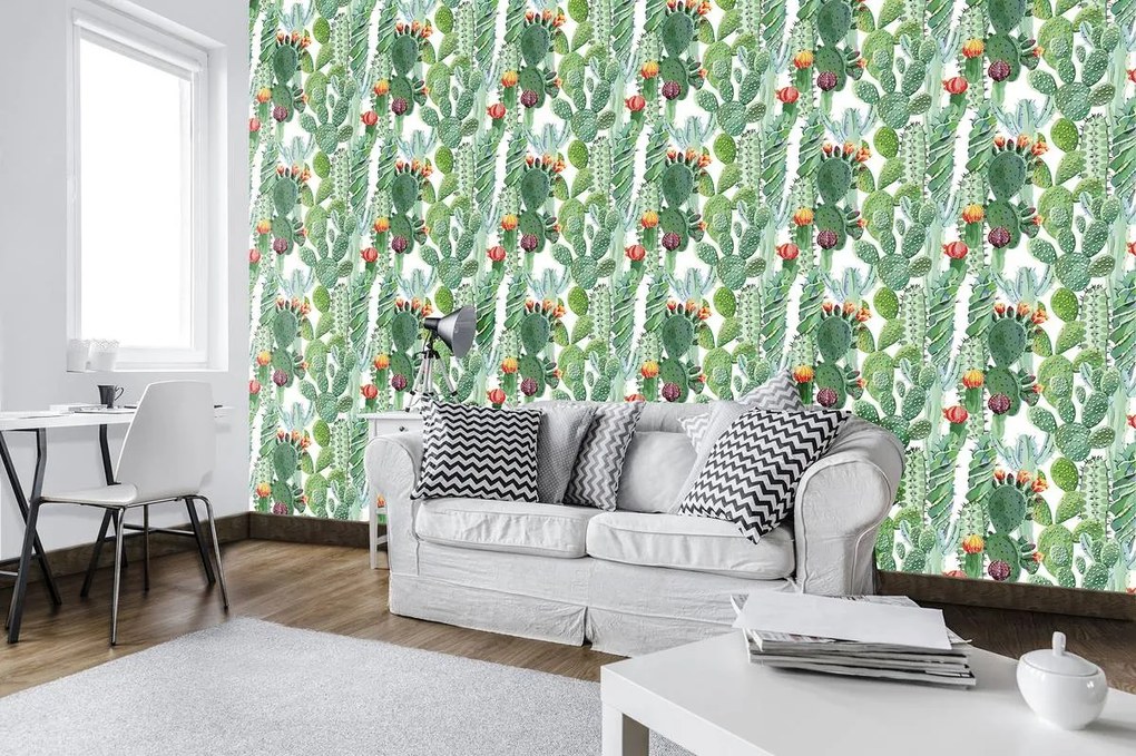 Fototapet - cactus (254x184 cm)