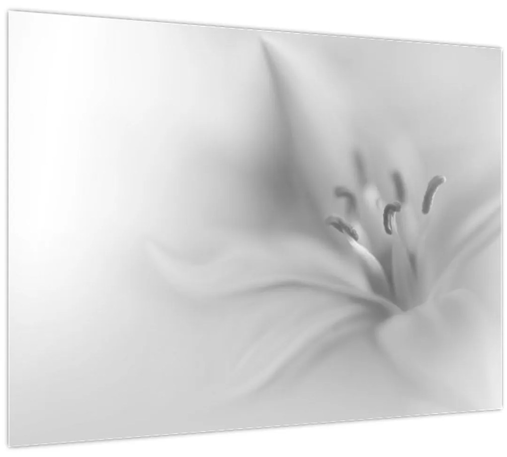 Tablou pe sticlă - Crin delicat (70x50 cm)
