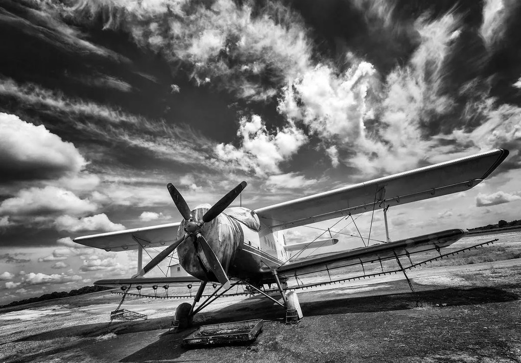 Fototapet - Avion (254x184 cm)