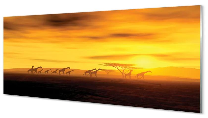 Tablouri acrilice Copac cer nori girafă