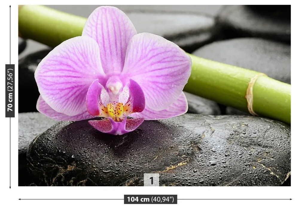 Fototapet Orchid Stones