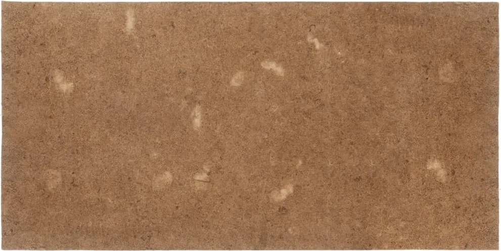 vidaXL Saltea, 100x200 cm, nucă de cocos