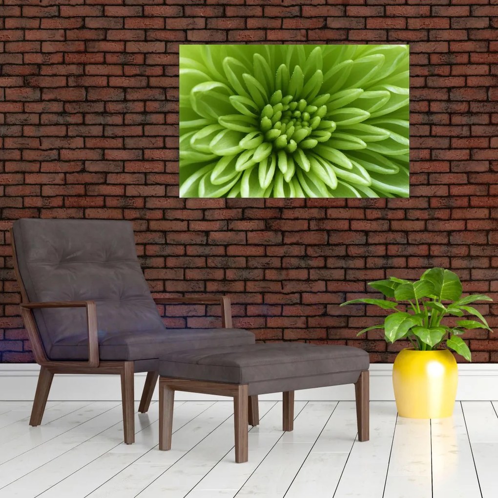 Tablou - Imagine macro a unei plante (90x60 cm)