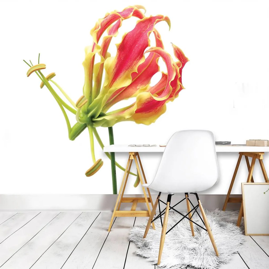 Fototapet - Flori (152,5x104 cm)
