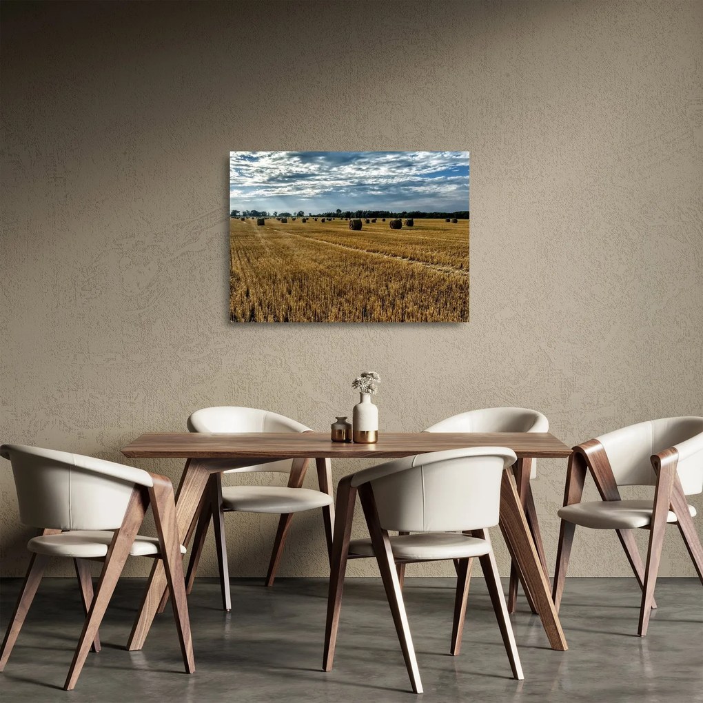 Tablou pe sticlă cu câmp recoltat (70x50 cm)