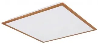Plafoniera moderna led 24W Doro 416080D2W Globo