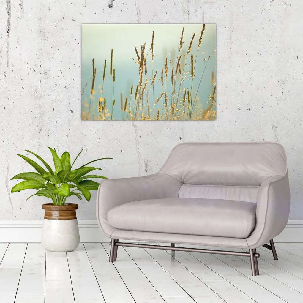 Tablou - Luncă (70x50 cm)