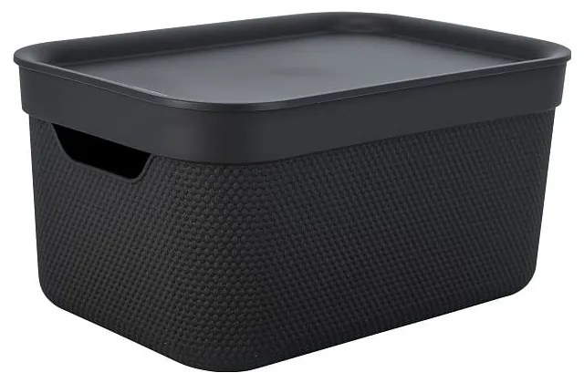 Cutie de depozitare din plastic cu capac Deco - Rotho