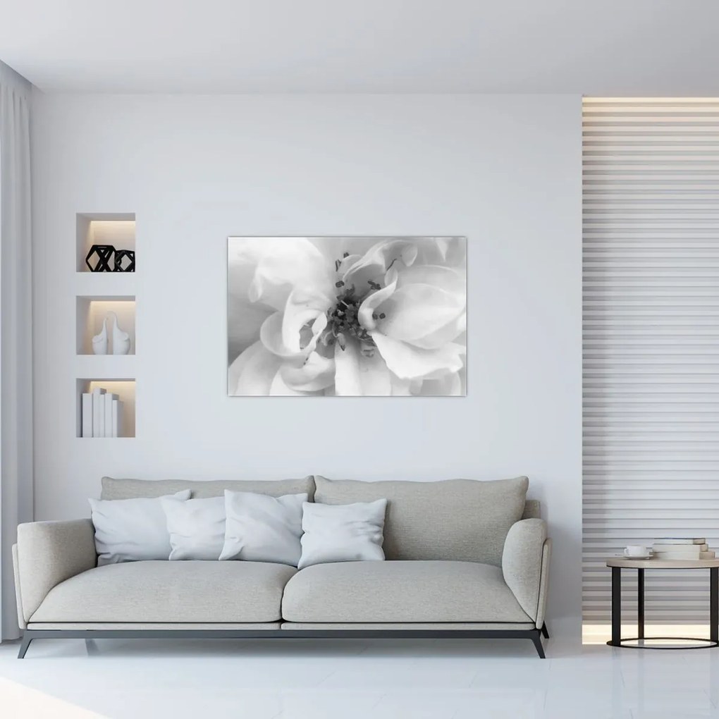 Tablou - Floare,alb-negru (90x60 cm)