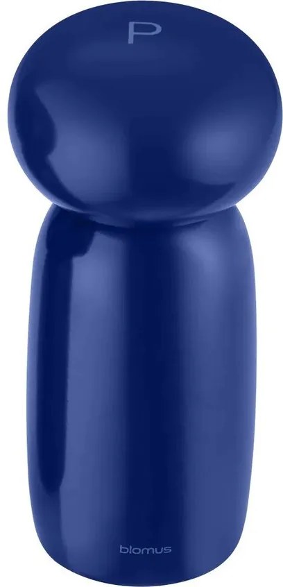 Set solniță și piperniță Moli – Blomus