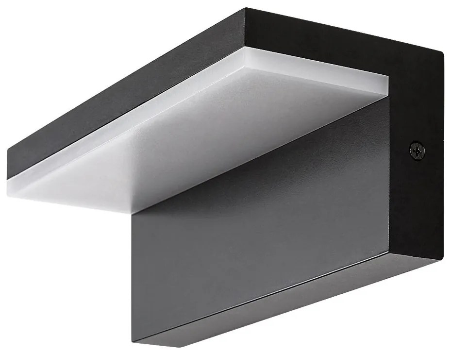 Aplica LED de perete pentru exterior IP54 Zaragoza negru