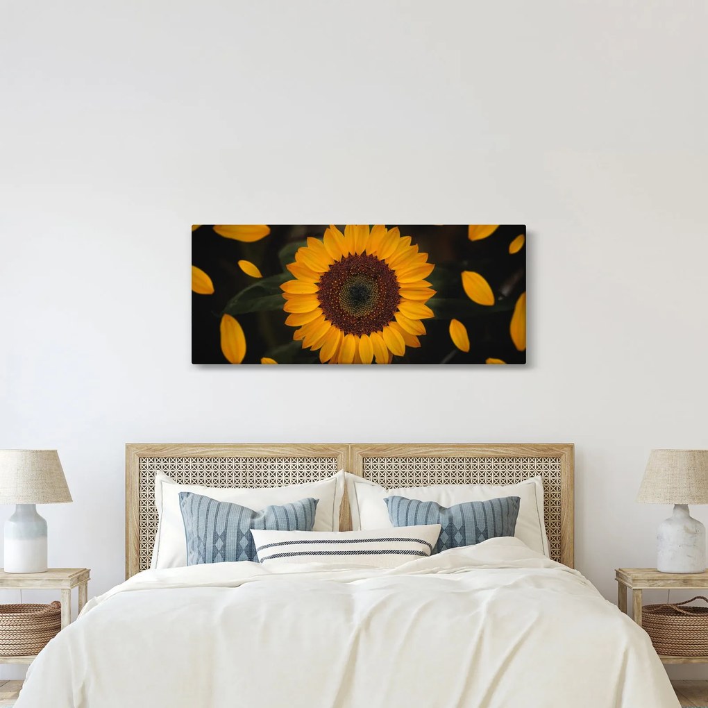 Tablou - Floarea soarelui și petale (120x50 cm)