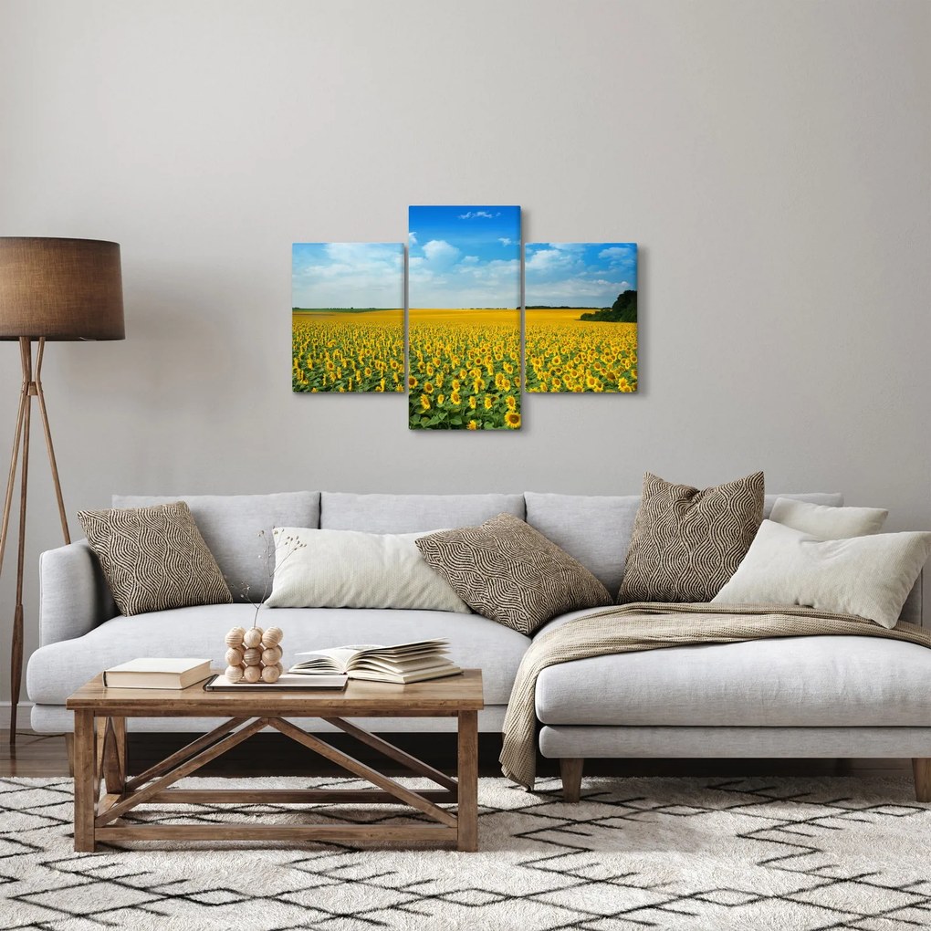 Tablou - câmp cu floarea soarelui (90x60 cm)
