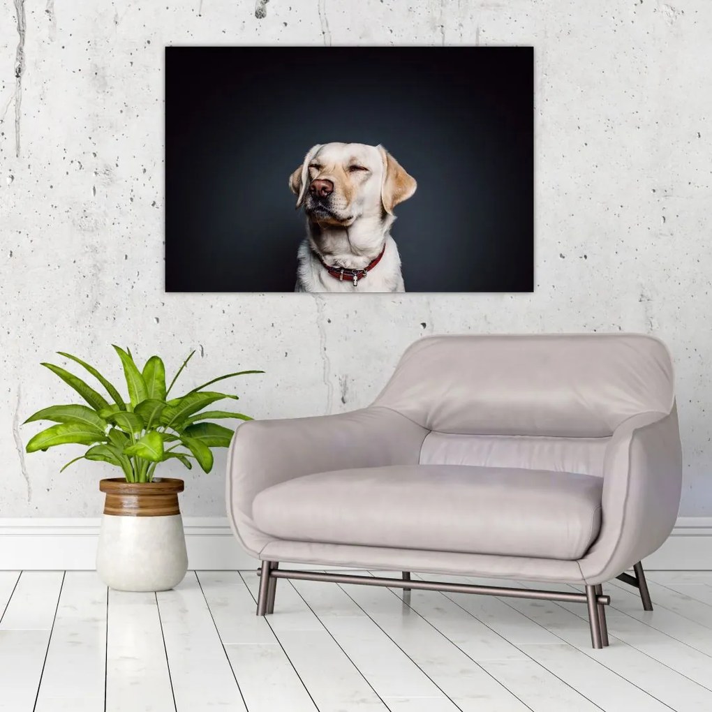 Tablou cu labrador (90x60 cm)