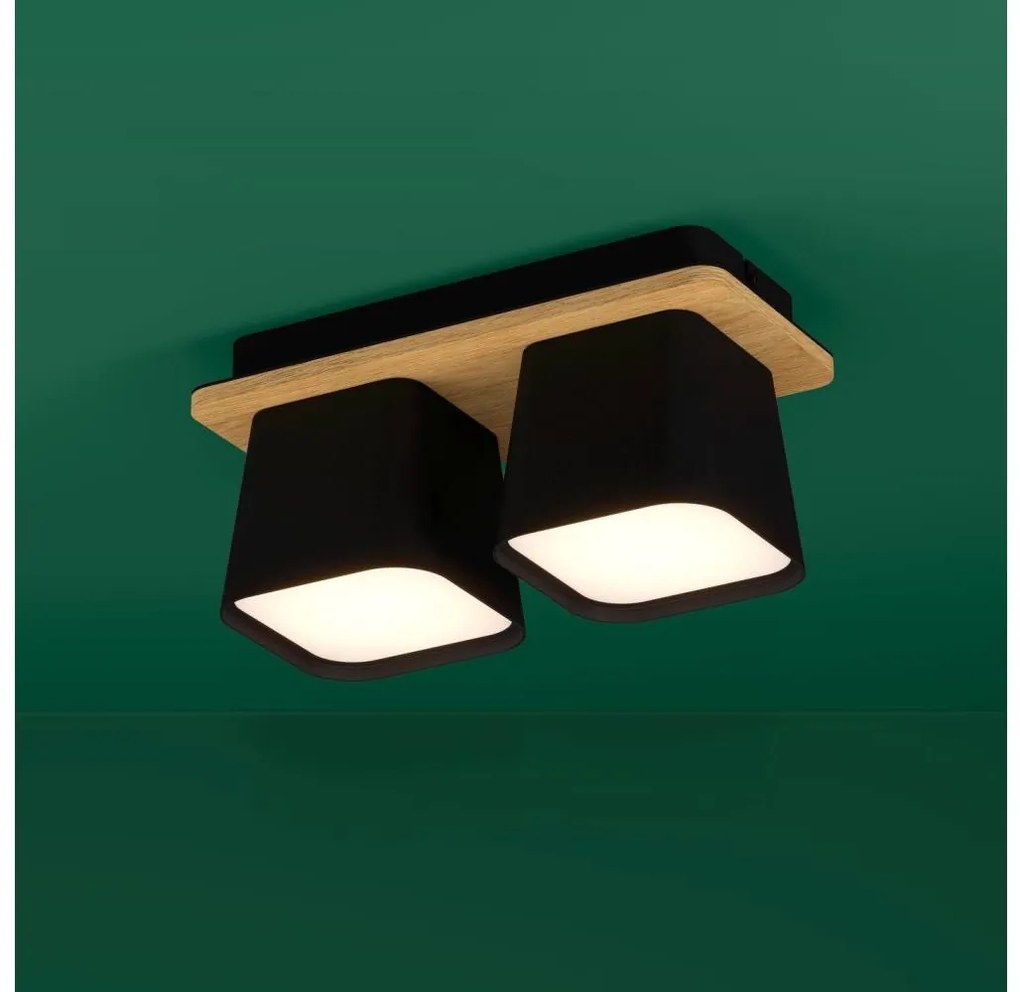Plafonieră Eglo 390007 RUSCIO 2xE27/40W/230V negru/maro