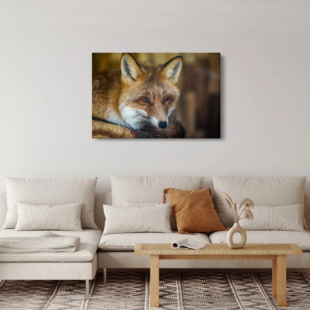Tablou cu vulpe (90x60 cm)
