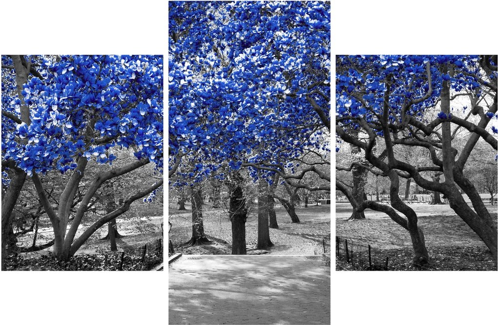 Tablou - Copaci albaștri Central Park, New York (90x60 cm)