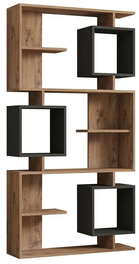 Biblioteca Icardi Anthracite and Atlantic Pine