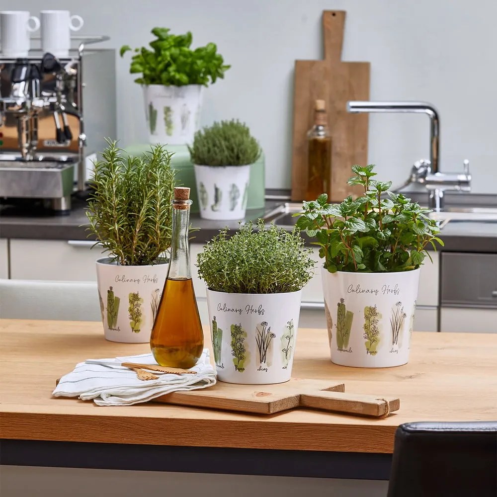 Ghivece din ceramică 2 buc. pentru plante aromatice ø 14 cm Dalllas Culinary - Big pots