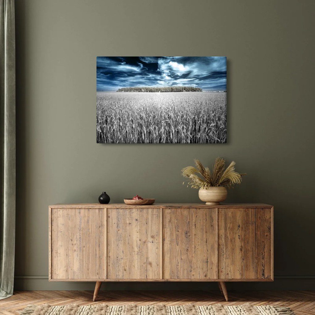 Tablou cu câmp (90x60 cm)
