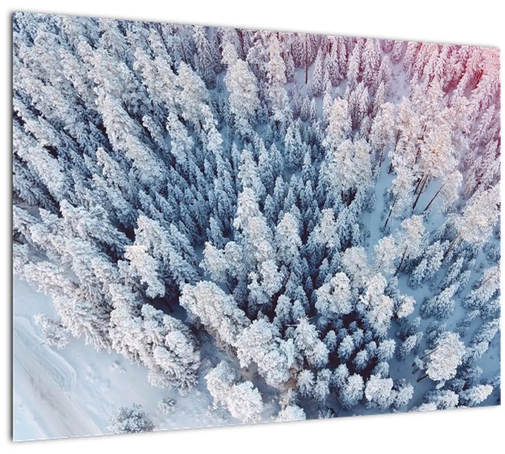 Tablou cu copaci înzăpeziți (70x50 cm)