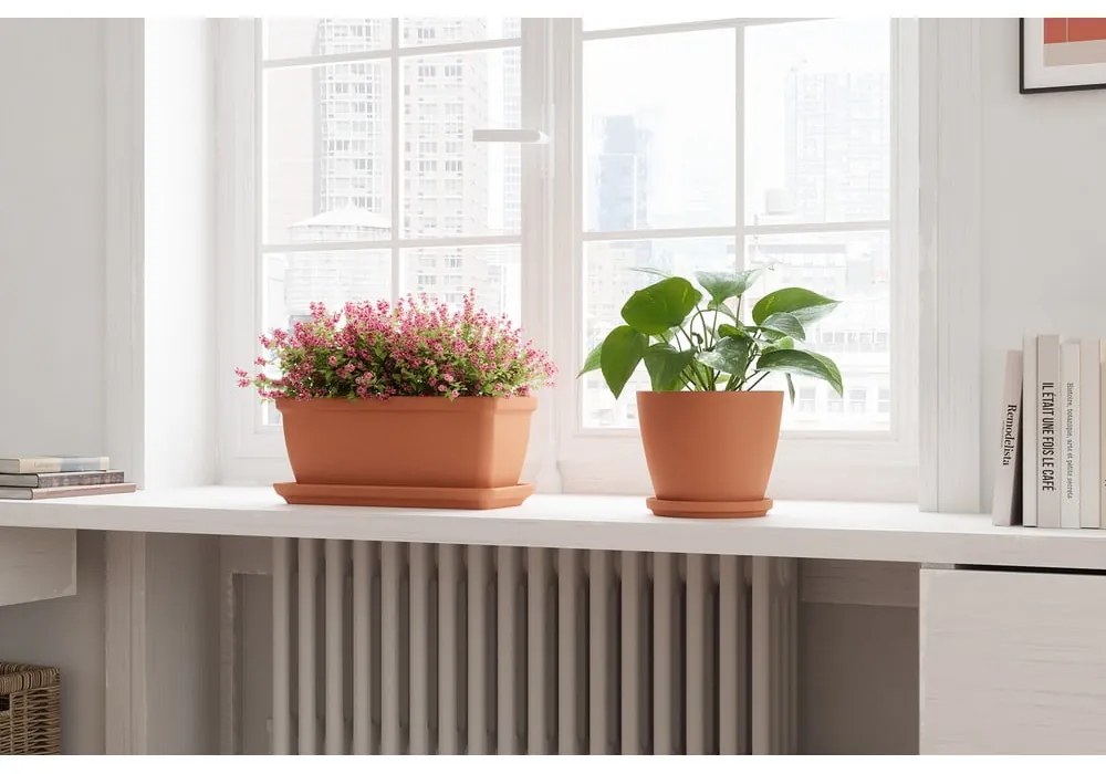 Farfurie pentru jardiniere din teracotă 52 cm – Artevasi