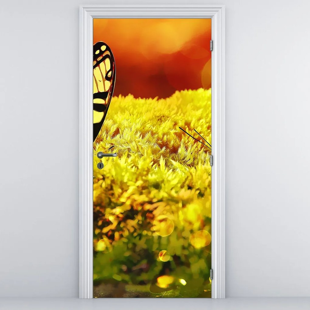 Fototapet pentru ușă - Fluturi (95x205cm)