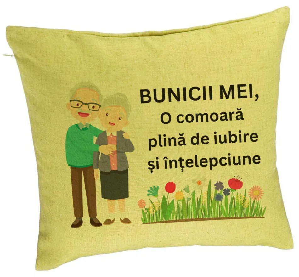 Perna Decorativa pentru Bunici 4, 40x40 cm, Verde, Husa Detasabila, Burduf