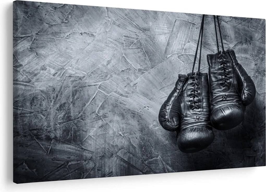 Tablou - Mănuși de box (90x60 cm)