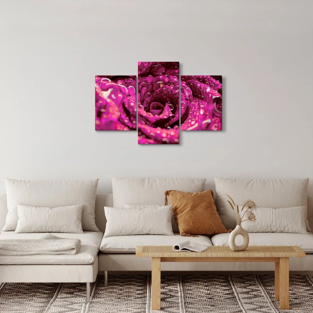 Tabloul cu floarea trandafirului roz (90x60 cm)