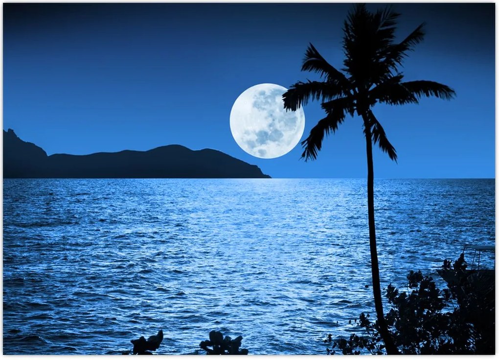 Tablou - Luna deasupra nivelului mării (70x50 cm)