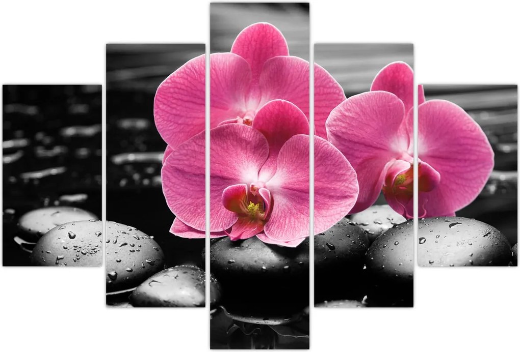 Tablou - Orhidee roz (150x105 cm)