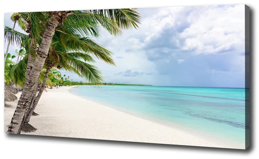 Pictură pe pânză Plaja tropicala