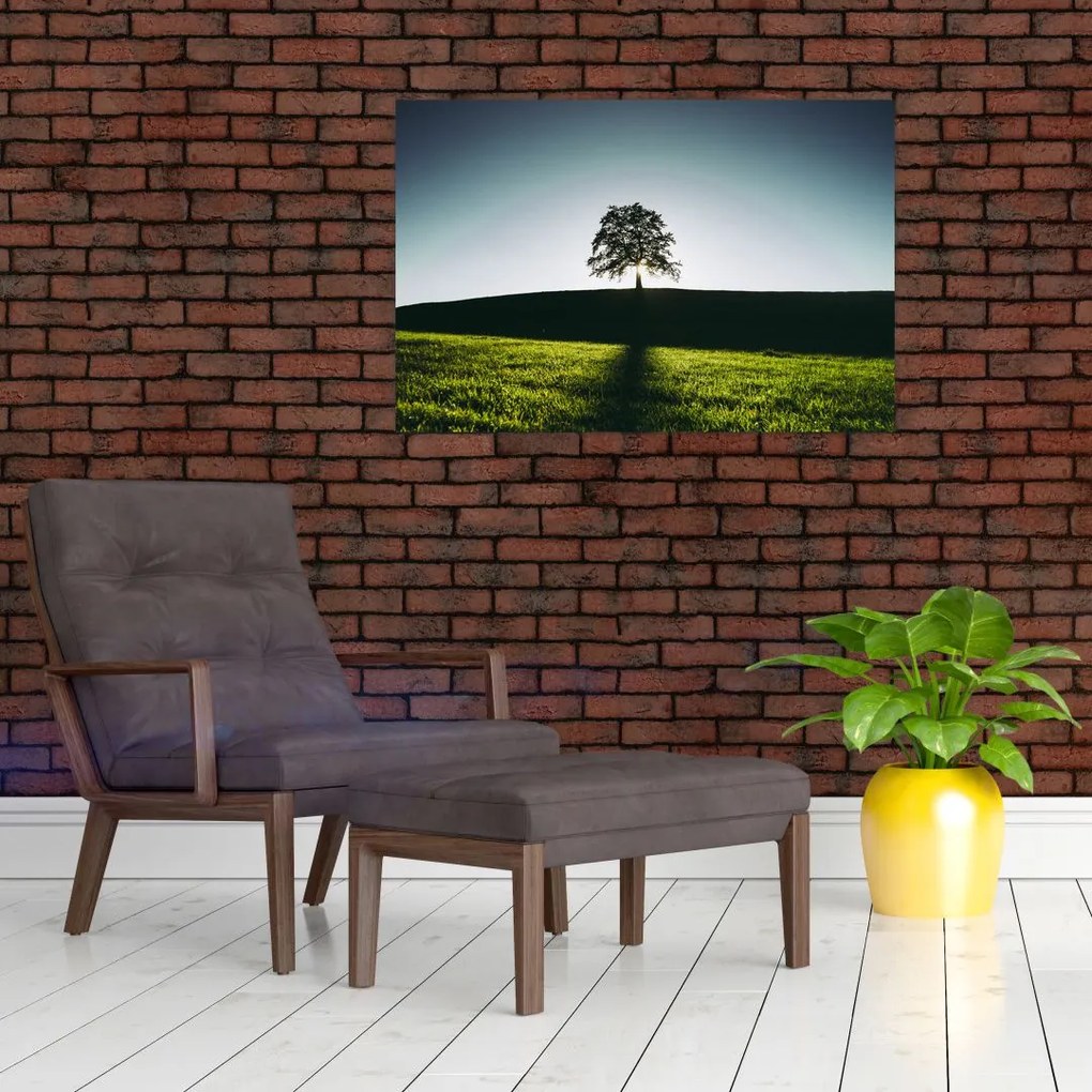 Tablou cu natura - copac (90x60 cm)