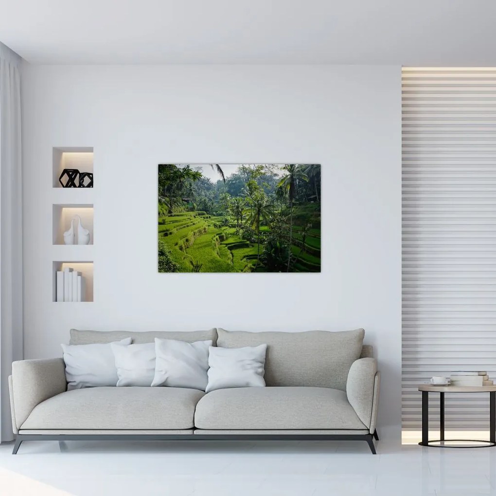 Tablou cu terasele cu orez Tegalalang, Bali (90x60 cm)