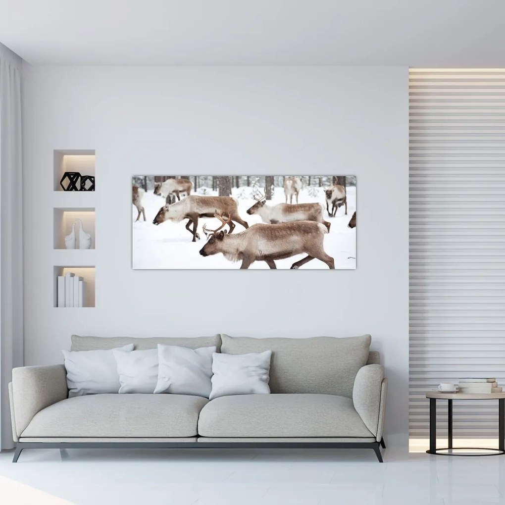Tablou - Renul (120x50 cm)