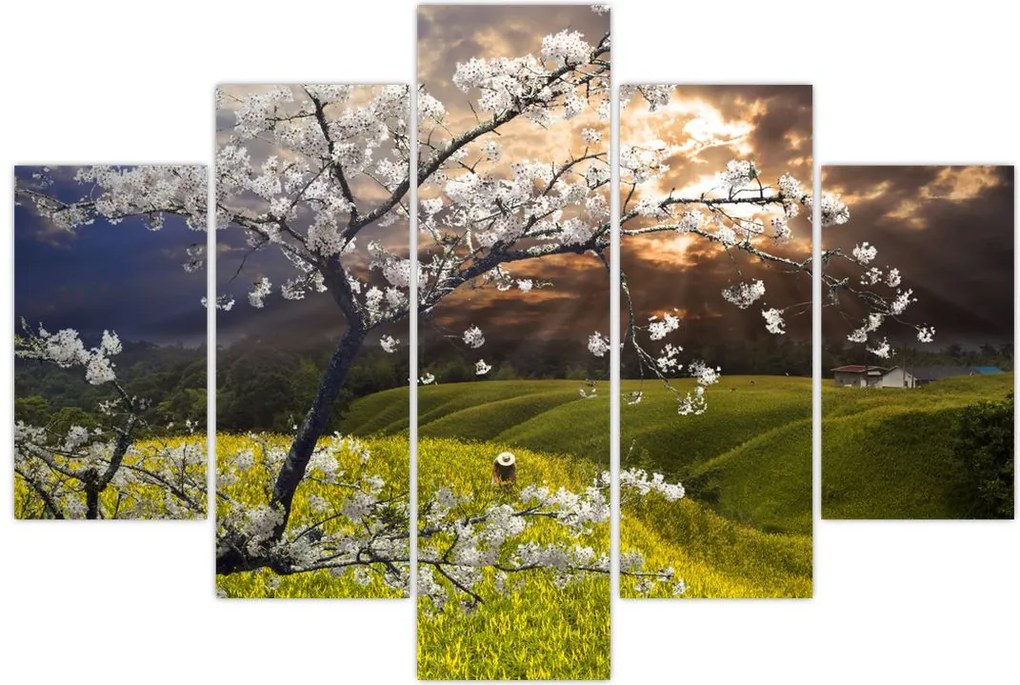 Tablou - Peisaj cu pomul înflorit (150x105 cm)