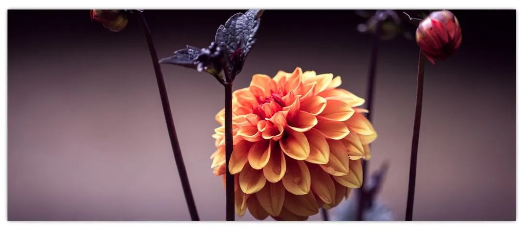 Tablou - Floare (120x50 cm)