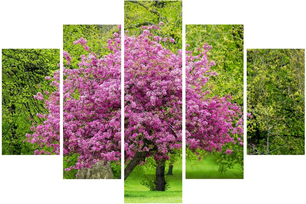 Tablou cu pom înflorit pe luncă (150x105 cm)
