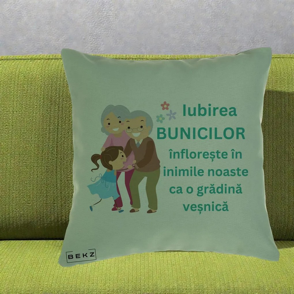 Cadou pentru Bunici - Perna Personalizata Bunicii Iubirea Infloreste cu Nepoata Teal, 40x40 cm, Verde, Husa Detasabila, Perna Inclusa, BEKZ®