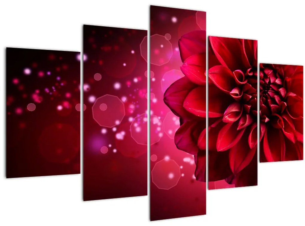 Tablou cu floare roșie (150x105 cm)